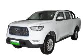 GWM Pao EV