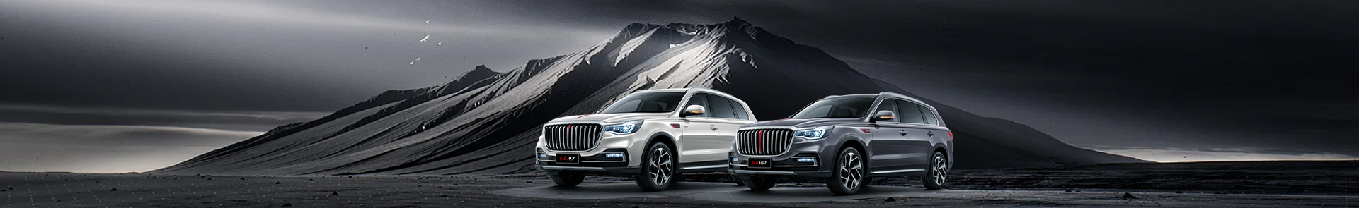 Hongqi Auto banner2