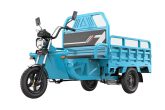 Electric cargo tricycle