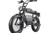 Adult electric bicycle