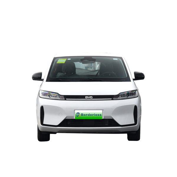 BYD D1