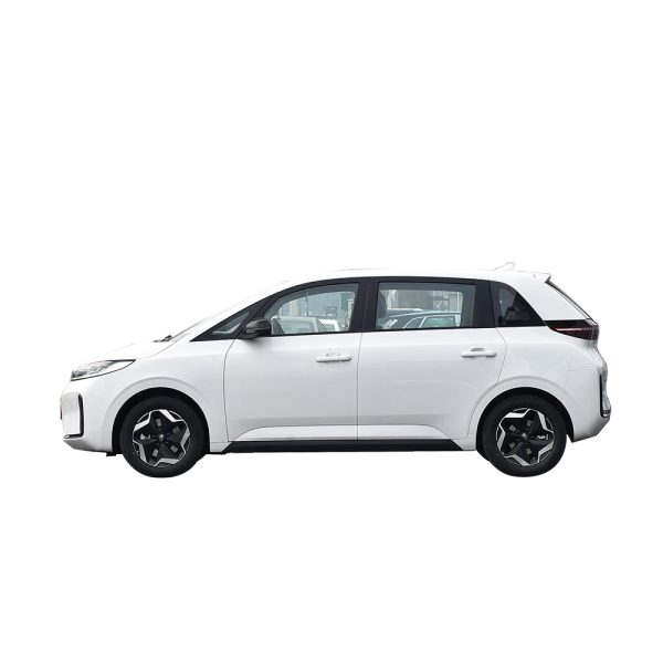BYD D1