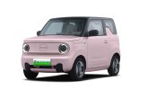 Geely Panda Knight