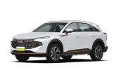 haval shenshou