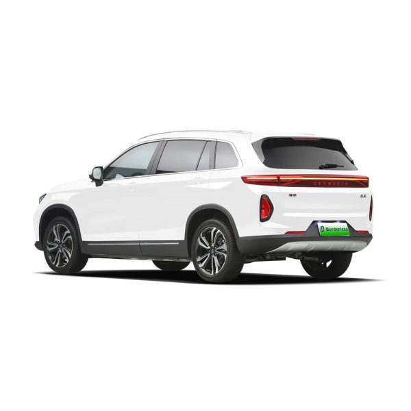 Skyworth ev6