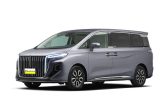 hongqi HQ9