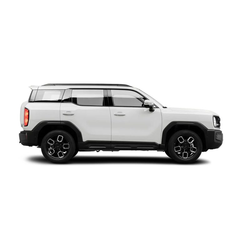 Haval x dog borderless car