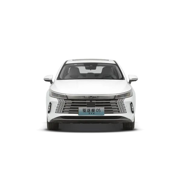 BYD Destroyer 05