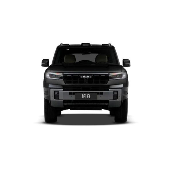 BYD Formula Leopard 8