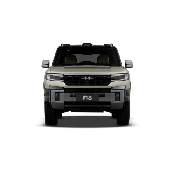 BYD Formula Leopard 8
