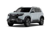 BYD Formula Leopard Titanium 3