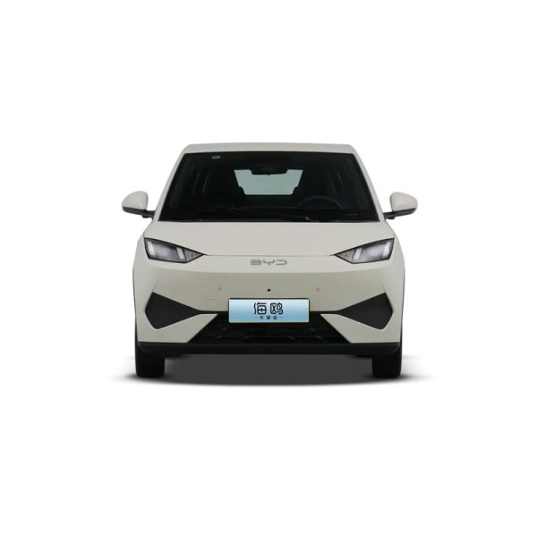 BYD SEAGULL 2025