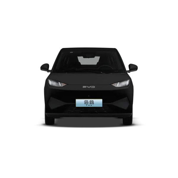 BYD SEAGULL 2025