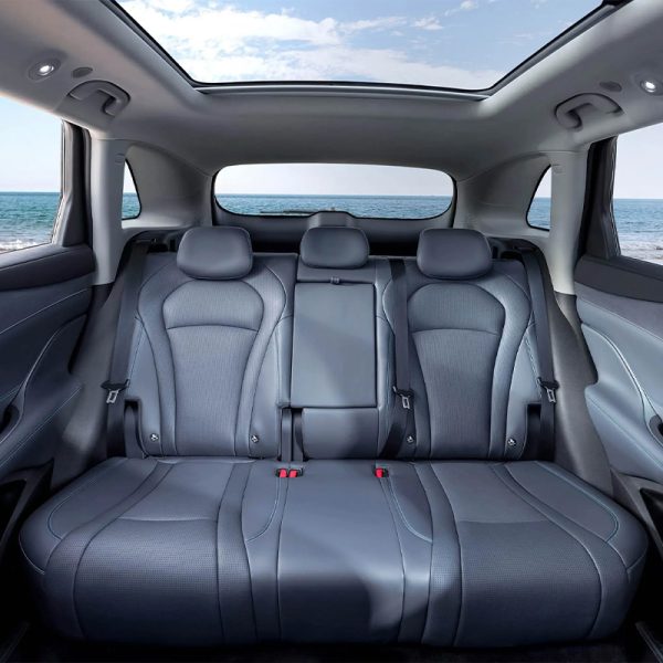 BYD Sealion 07 DM-i