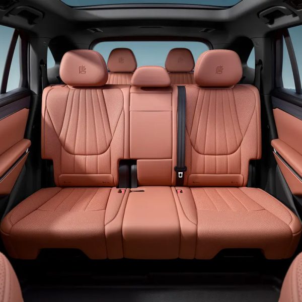 BYD Tang L DM-p