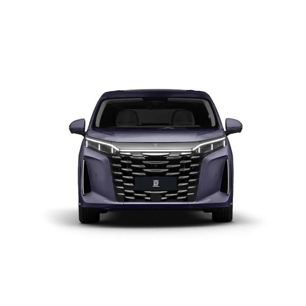BYD Xia