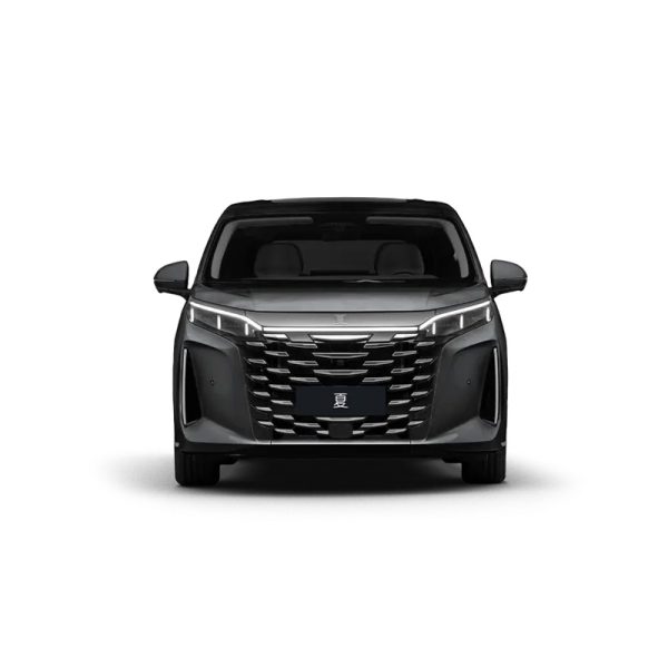 BYD Xia