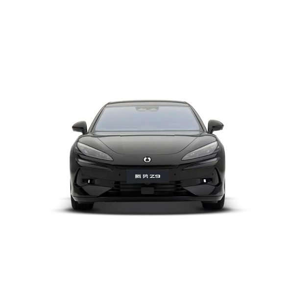 Denza Z9 DM