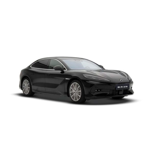 Denza Z9 DM