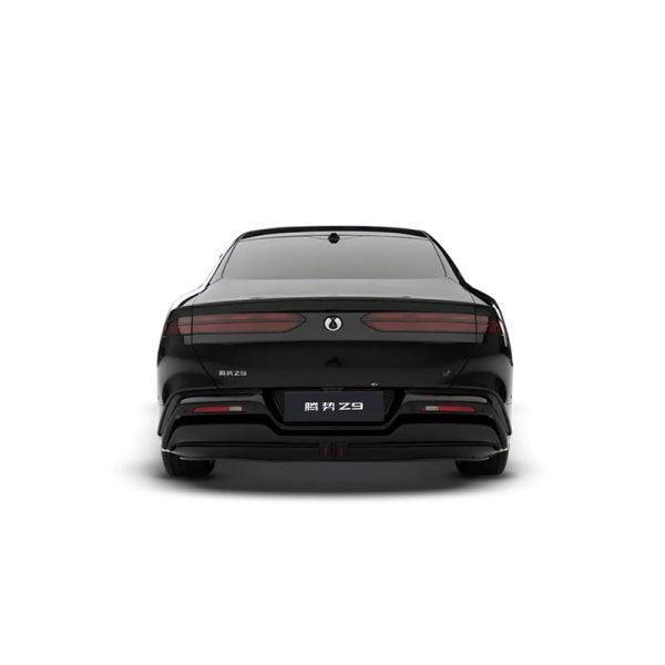 Denza Z9 DM