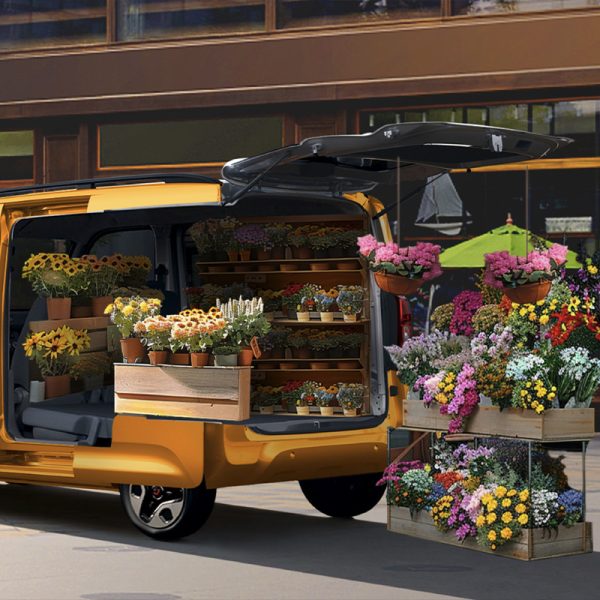 Wuling Sunshine EV