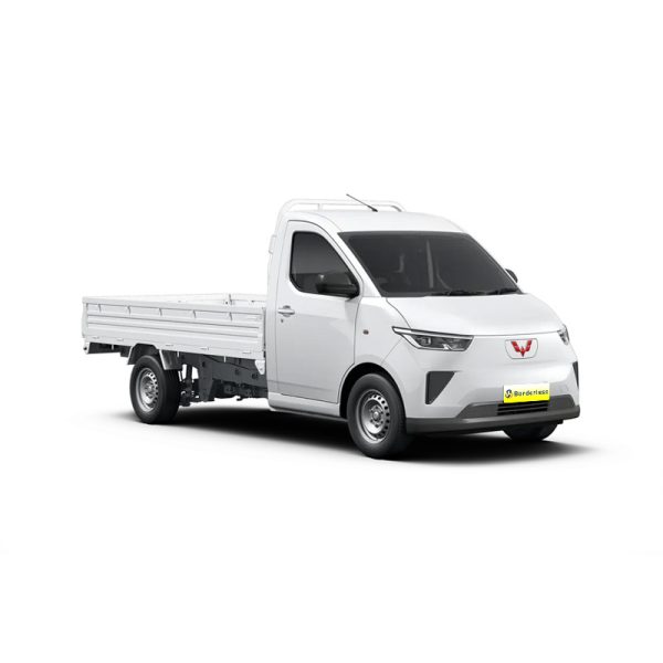 Wuling Yangguang EV Truck